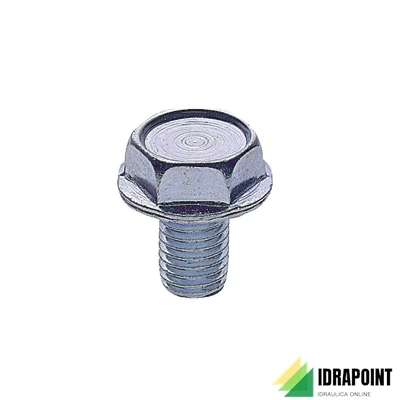BULLONE TESTA ESAGONALE M 8X14