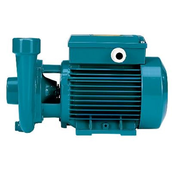 POMPA CON GIRANTE PERIFERICA TM 76/E V.230/50 IE2